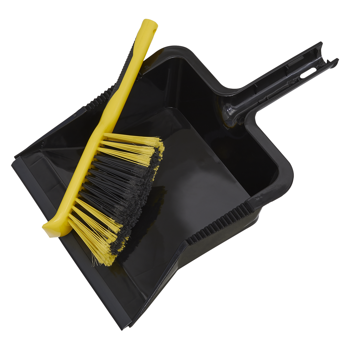 Yard Dustpan & Brush Set19.95