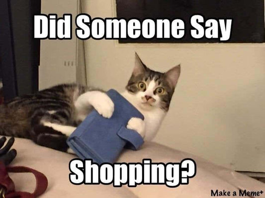 Cat in a bag #1